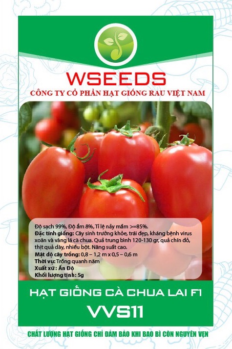 Cà chua VVS 11