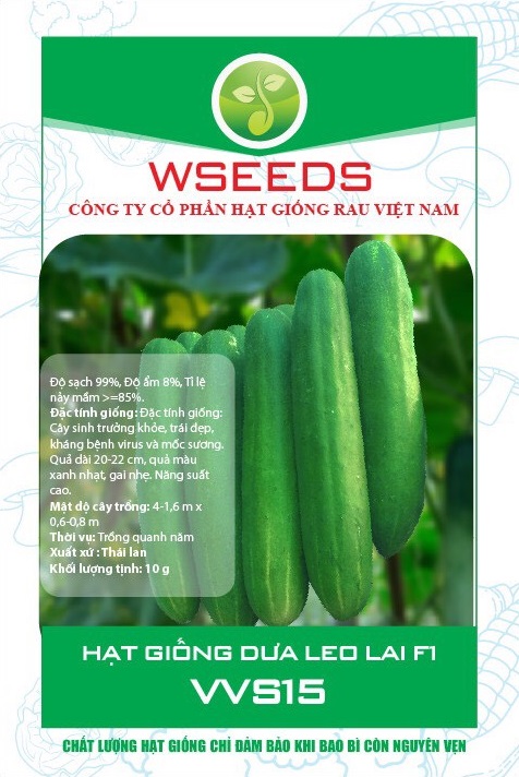 Dưa leo VVS15