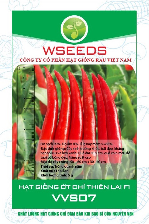 Ớt chỉ thiên VVS07