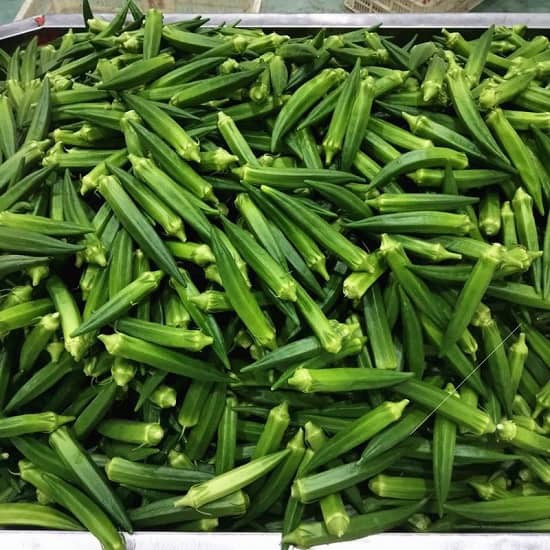 hạt giống đậu bắp F1 2