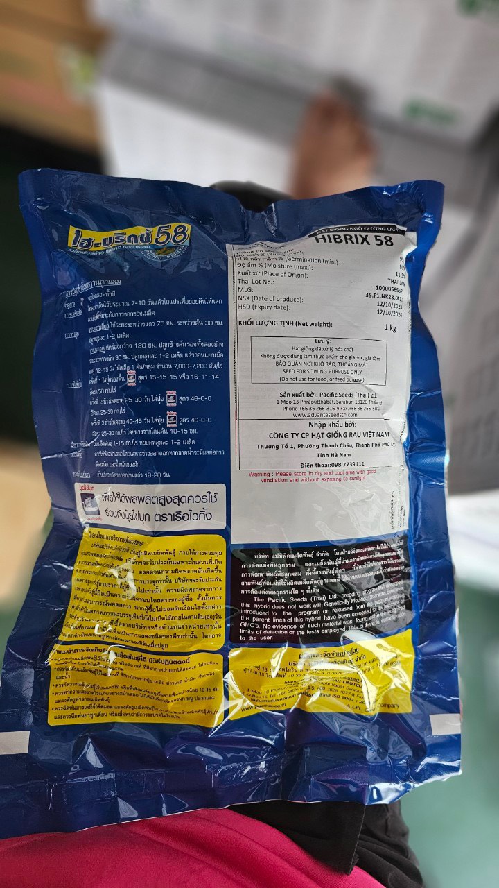 ngô ngọt Hibrix 58 mặt sau