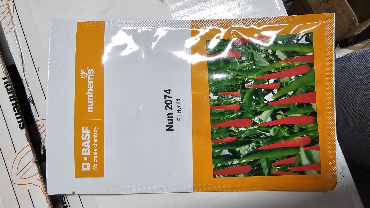 z5035992151460_568be8806ae3cc8491c0199c9bddcb2c