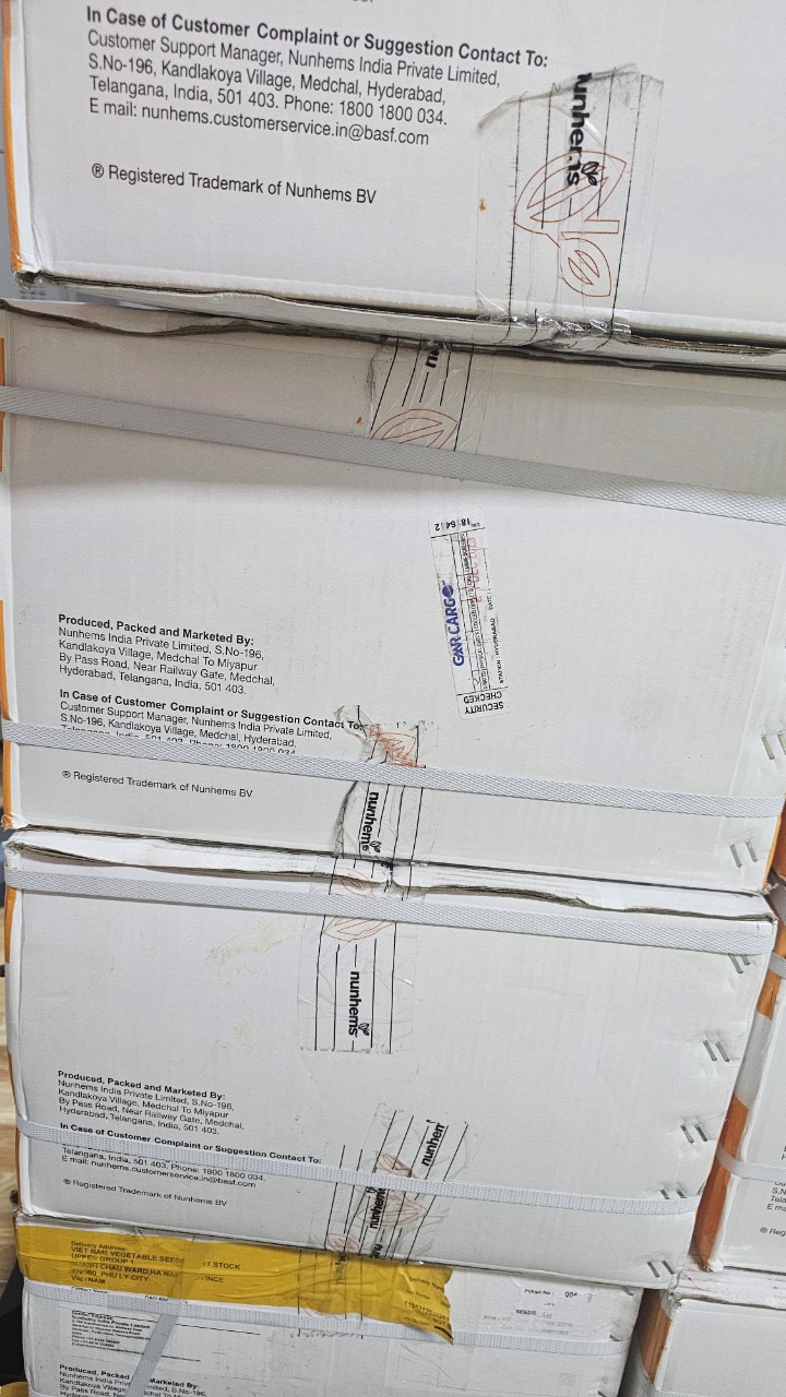 z5035992151844_0836bd3cc9d667d3dadb62c7a3cc23bd