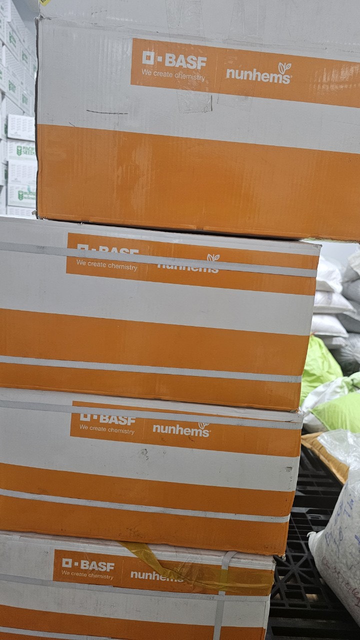 z5035992161030_bf75213fafeded6a2e0c8da73dd5ef9a