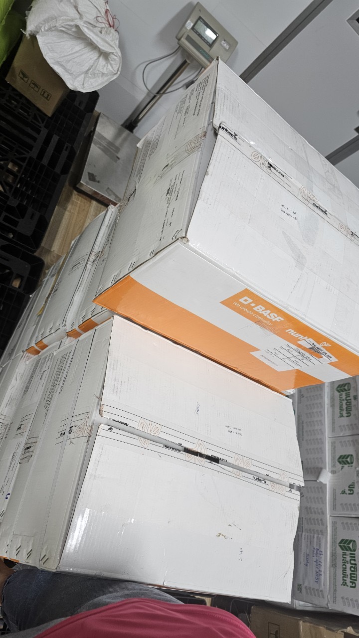 z5035992173849_85a841ad6c7e77215a586fd680425a09