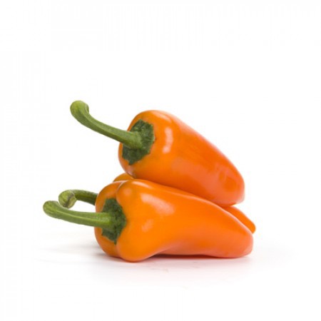 z4995181186805_61f71510cdc79bb355ad400fa8ddfb62